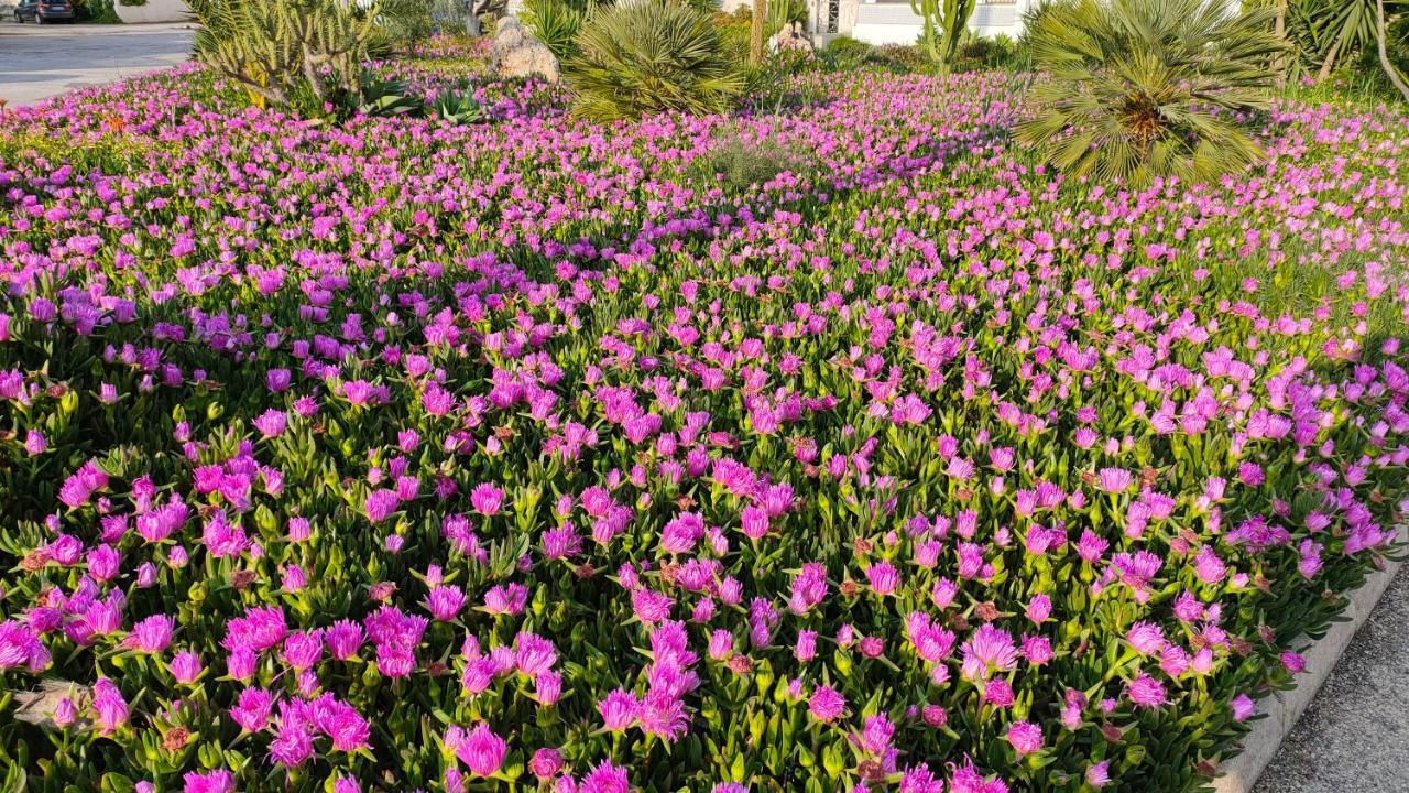 Casas Holiday - Playa Del Cura ตอร์เรเวียคา ภายนอก รูปภาพ
